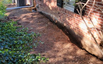 Defending Your Space: Professional Basement Waterproofing Solutions in MD